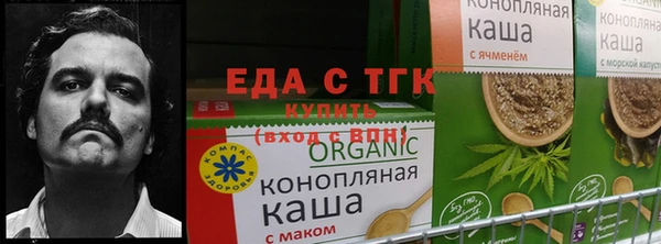 бошки Магас