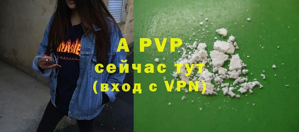 крисы Майский