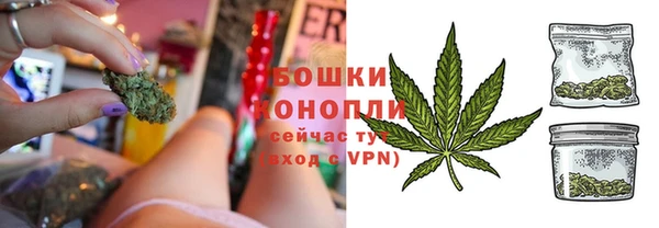 крисы Майский