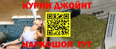 молекула духа Будённовск