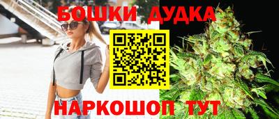 молекула духа Будённовск