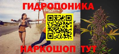 скорость Будённовск