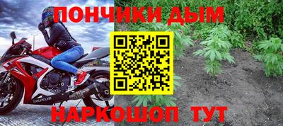 молекула духа Будённовск