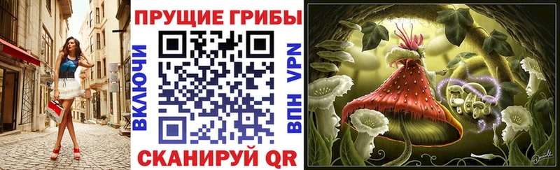 купить наркотики цена  Еманжелинск  Псилоцибиновые грибы Magic Shrooms 