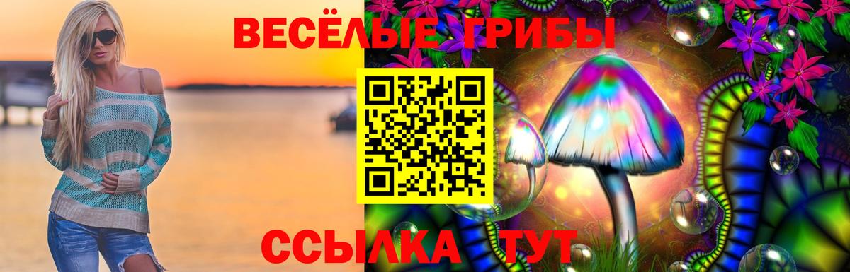 где продают   Еманжелинск  Псилоцибиновые грибы MAGIC MUSHROOMS  Галлюциногенные грибы GOLDEN TEACHER 