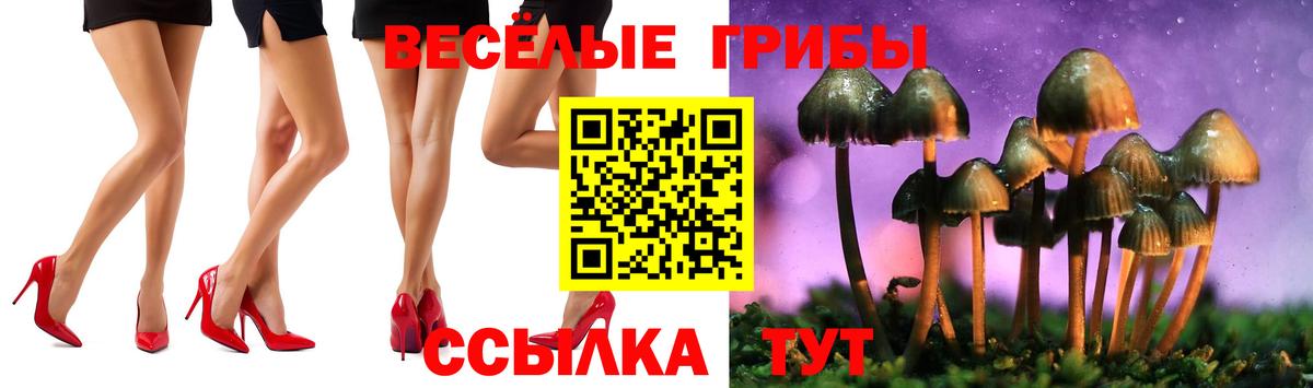 Галлюциногенные грибы MAGIC MUSHROOMS Еманжелинск